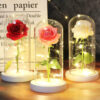 Lampada decorativa con rosa luminosa in vetro Užsisakykite Trendai.lt 48